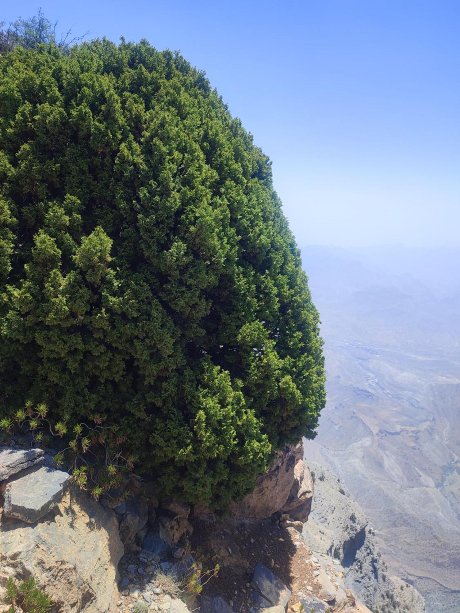 Stone Rest House Jebel Shams Al Ḩamrāʼ 외부 사진